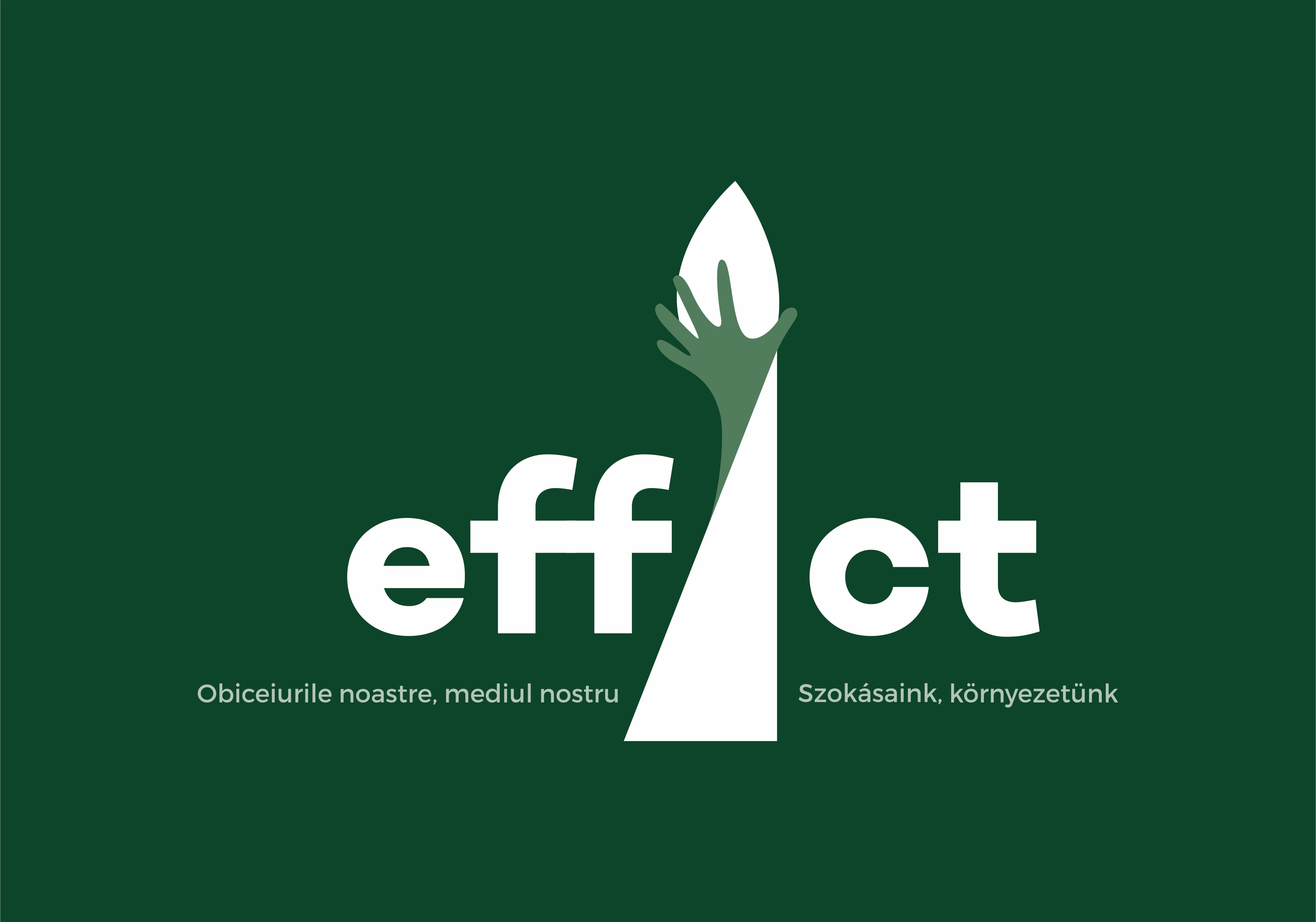 Biroul pentru Tineret lansează programul effAct 