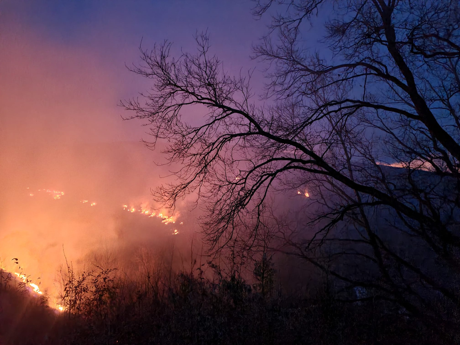 Arderea vegetaţiei uscate poată fi făcută numai după obţinerea permisului de lucru cu focul