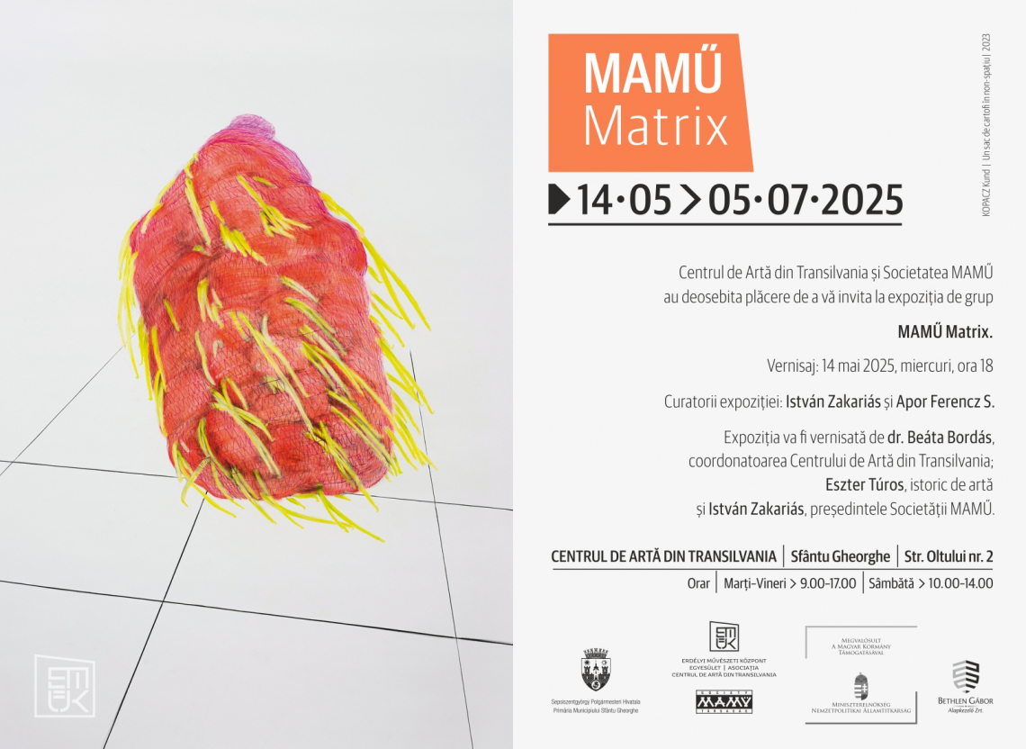 O nouă expoziție contemporană la Centrul de Artă din Transilvania MAMŰ Matrix